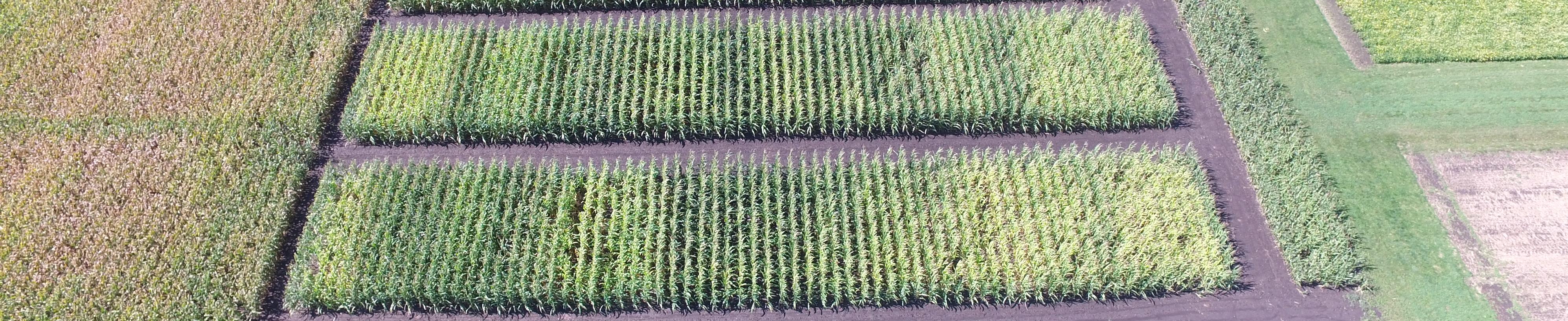 An aerial photo of the manure nitrogen and phosphorus crediting study.